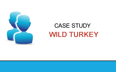 Wild Turkey Case Study
