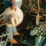 Agave on the Clock: Overcoming Challenges in Tequila Production Planning 